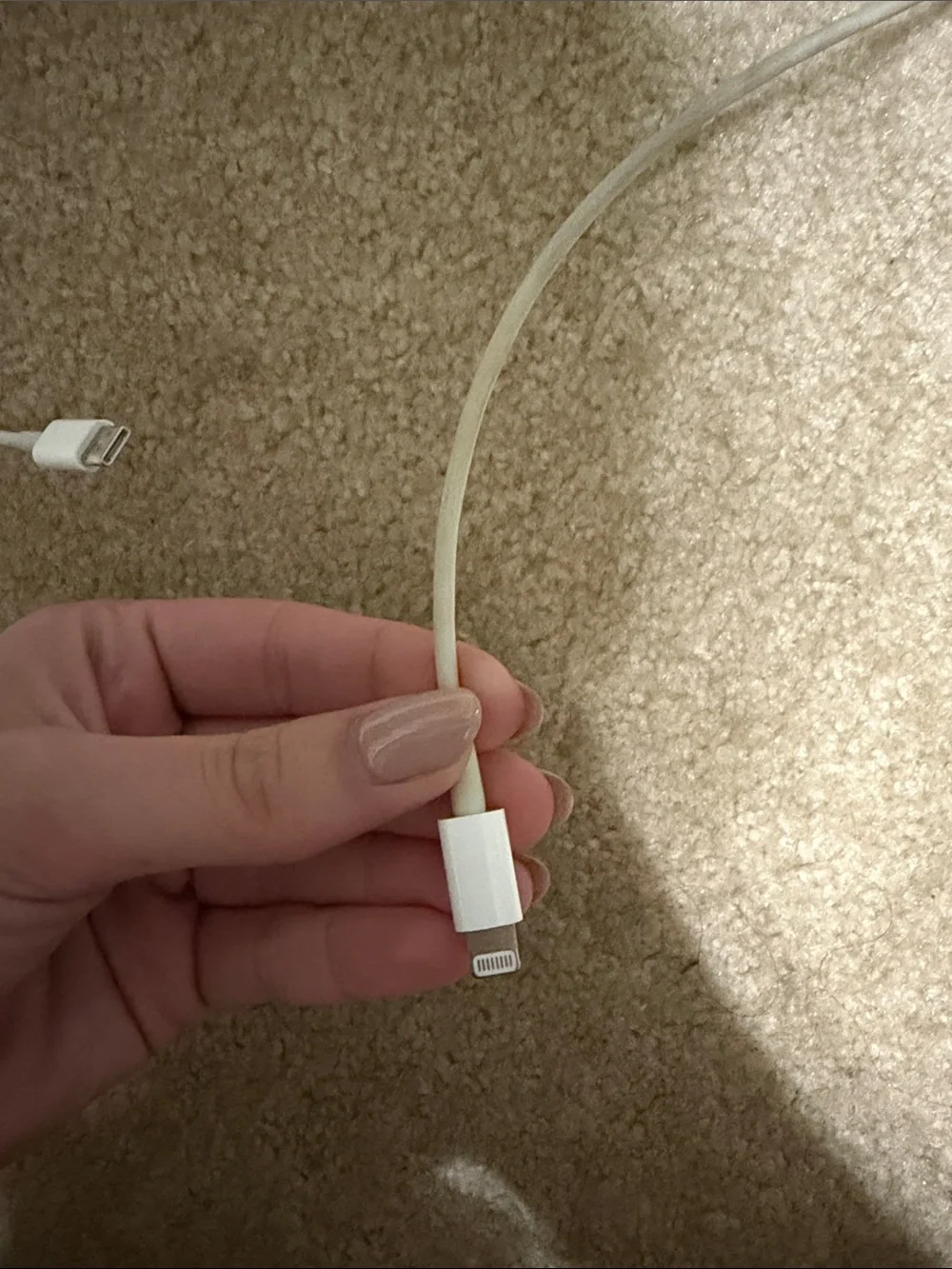 Apple White Lightning to USB Cable - Genuine OEM Phone Charger